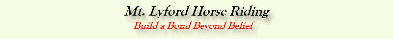 logo Build a Bond Beyond Belief 