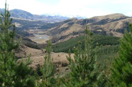Mason River Valley